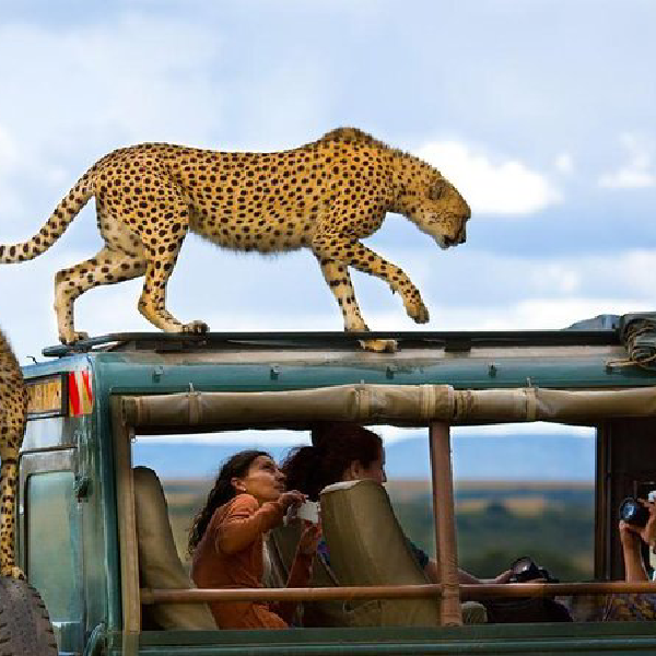 11 DAYS BEST SAFARI DESTINATIONS KENYA AND TANZANIA